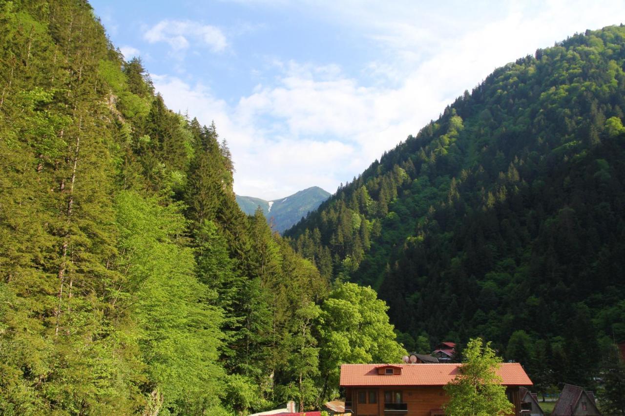 Готель Kilpa 4*